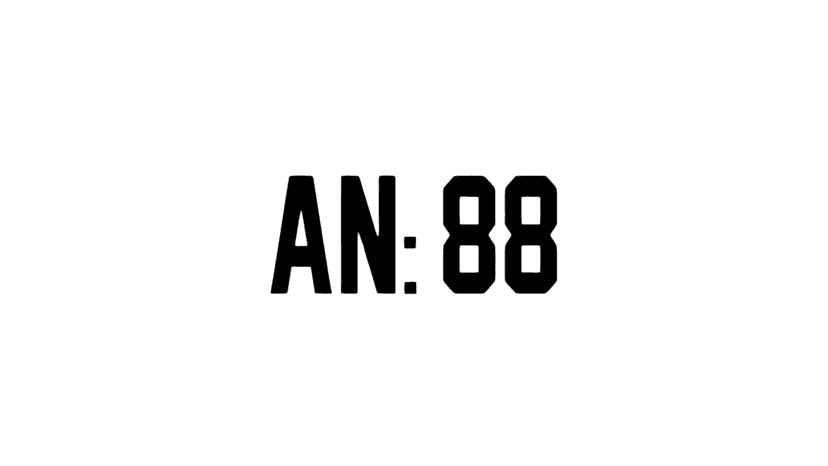 AN:88